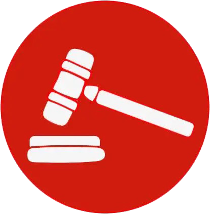 国拍网logo